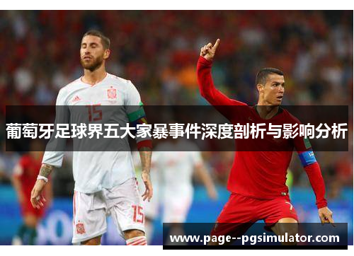 葡萄牙足球界五大家暴事件深度剖析与影响分析
