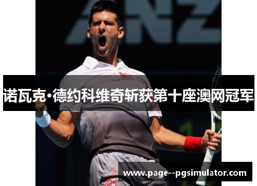 诺瓦克·德约科维奇斩获第十座澳网冠军 诺瓦克·德约科维奇斩获第十座澳网冠军