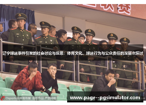 辽宁球迷事件引发的社会讨论与反思：体育文化、球迷行为与公众责任的深层次探讨