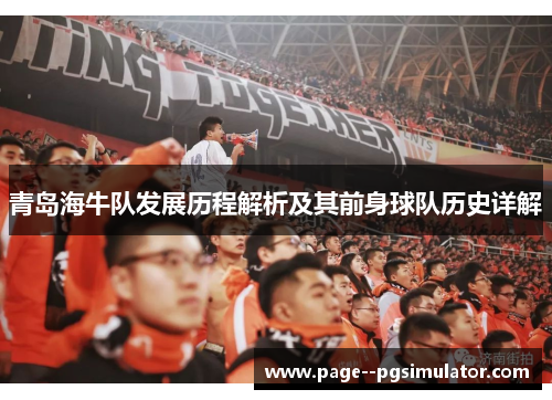 青岛海牛队发展历程解析及其前身球队历史详解
