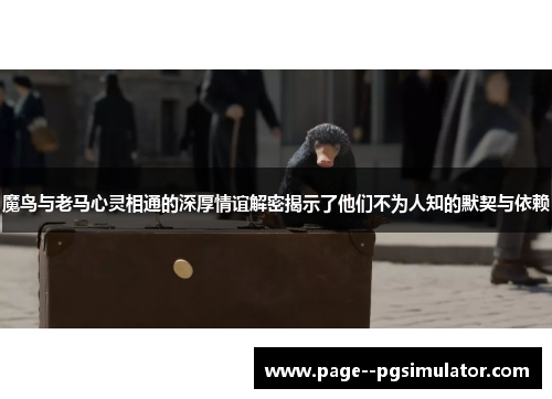 魔鸟与老马心灵相通的深厚情谊解密揭示了他们不为人知的默契与依赖 魔鸟与老马心灵相通的深厚情谊解密揭示了他们不为人知的默契与依赖