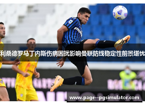 利桑德罗马丁内斯伤病困扰影响曼联防线稳定性前景堪忧