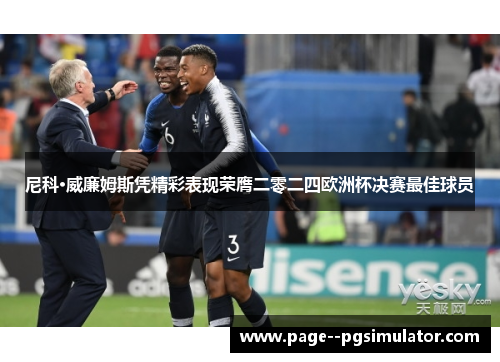 尼科·威廉姆斯凭精彩表现荣膺二零二四欧洲杯决赛最佳球员